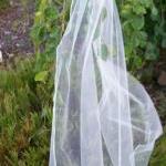 Single Layer Bridal Veil - 36 Inch